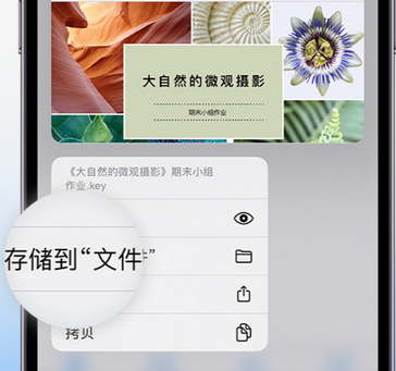 潍城apple维修中心分享iPhone文件应用中存储和找到下载文件