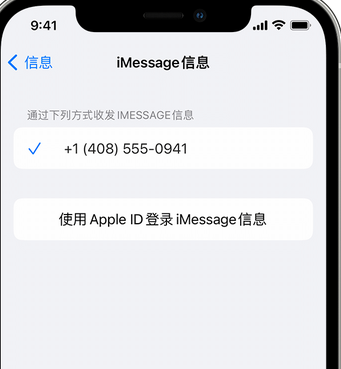 潍城apple维修iPhone上无法正常发送iMessage信息 