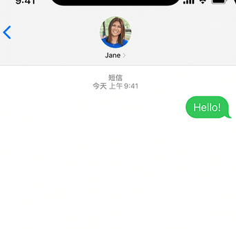 潍城apple维修iPhone上无法正常发送iMessage信息