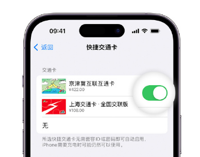 潍城apple维修点分享iPhone上更换Apple Pay快捷交通卡手绘卡面 