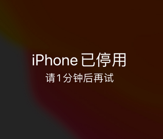 潍城苹果手机维修分享:iPhone 显示“不可用”或“已停用”怎么办？还能保留数据吗？ 