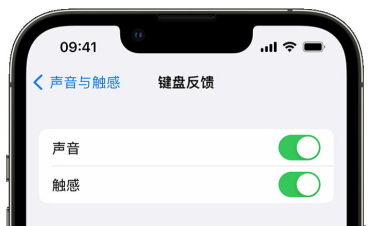 潍城苹果手机维修分享iPhone 14触感键盘使用方法 