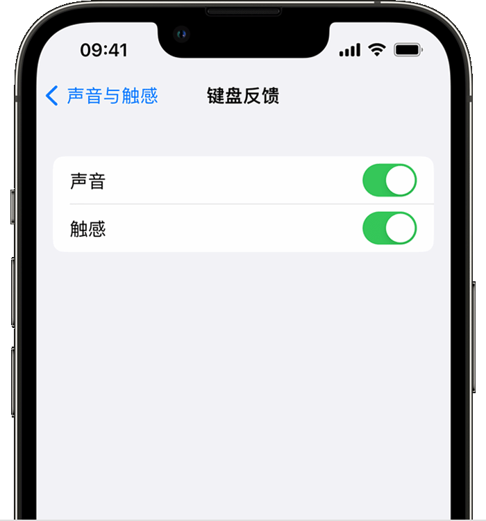 潍城苹果14维修店分享如何在 iPhone 14 机型中使用触感键盘 