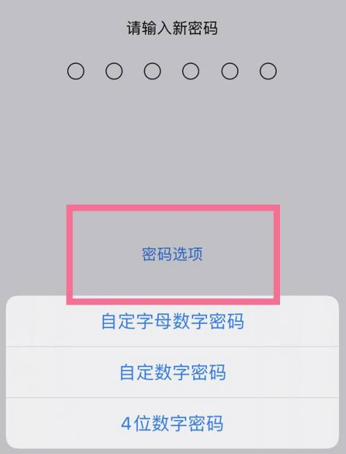 潍城苹果14维修分享iPhone 14plus设置密码的方法 