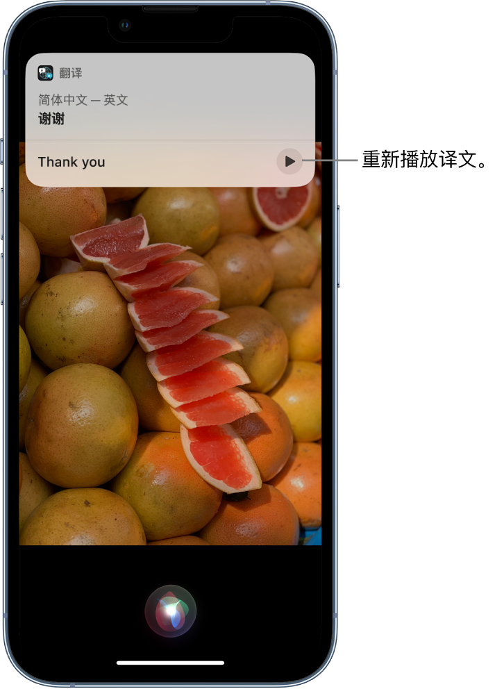 潍城苹果14维修分享 iPhone 14 机型中使用 Siri：了解 Siri 能帮你做什么 