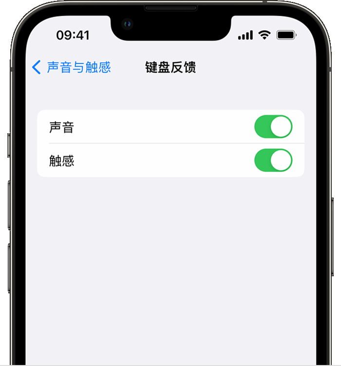 潍城苹果14维修分享iPhone 14 系列机型如何开启键盘声音或触感反馈 