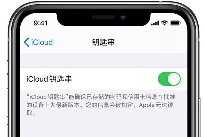 潍城苹果手机维修分享在 iPhone 上开启 iCloud 钥匙串之后会储存哪些信息 