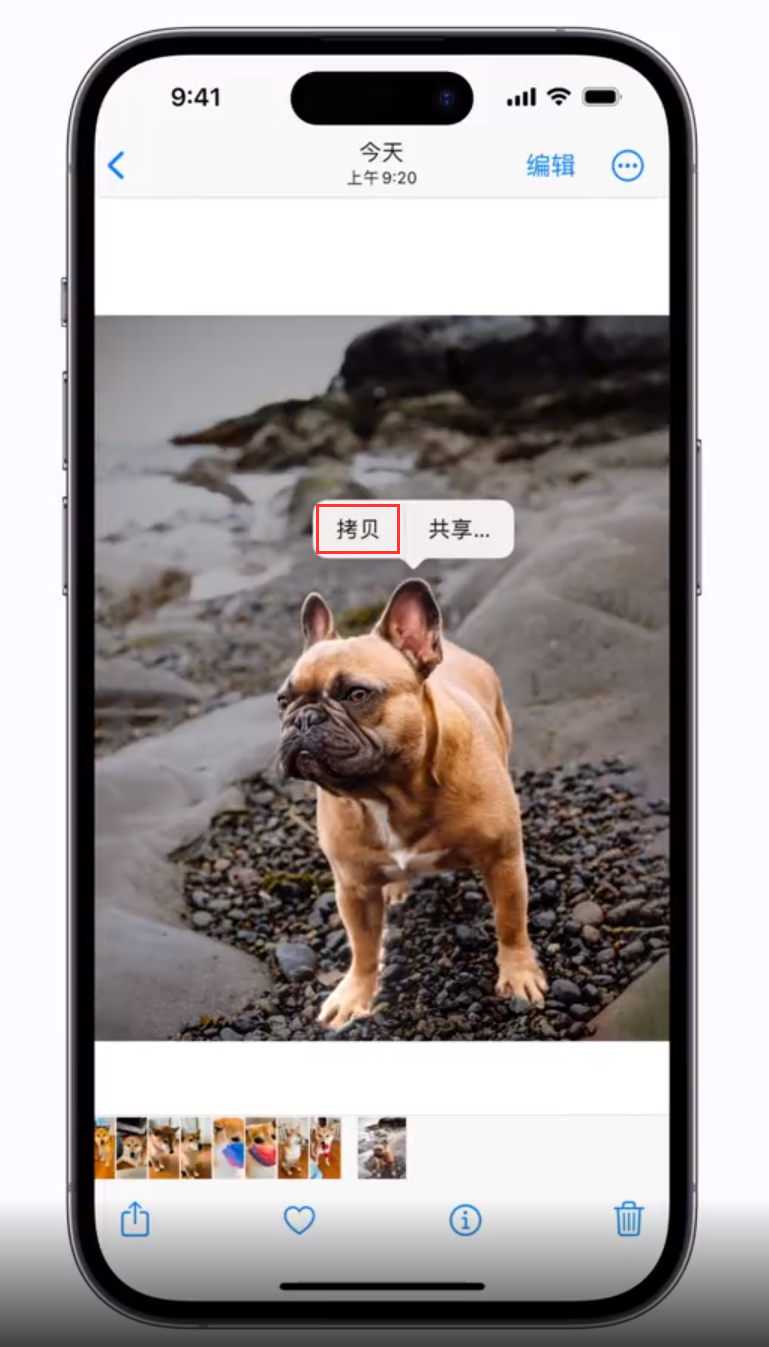 潍城苹果手机维修分享 iOS 16 自带一键抠图功能 