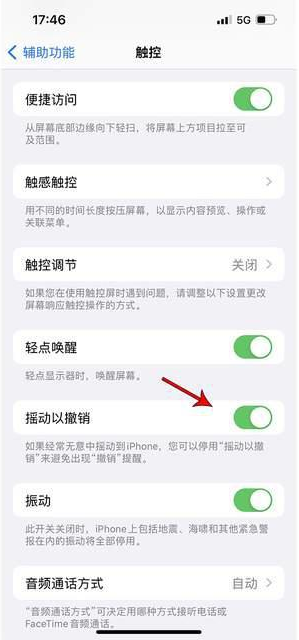 潍城苹果手机维修分享iPhone手机如何设置摇一摇删除文字 