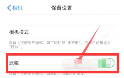 潍城苹果13维修分享iPhone13拍照有绿点是怎么回事 