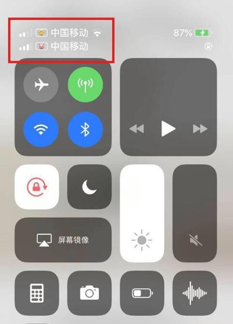 潍城苹果手机维修分享为 iPhone 12 双卡设置标签 