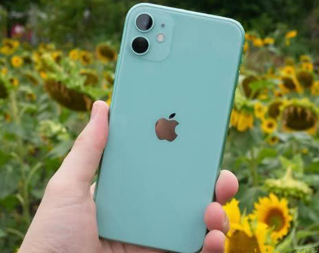 潍城苹果维修点分享iPhone 11锁屏密码认知与使用科普 